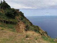 Weinfest Quinta do Furao in Santana