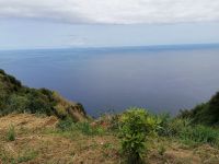 Weinfest Quinta do Furao in Santana