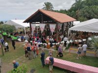 Weinfest Quinta do Furao in Santana