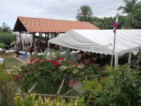 Weinfest Quinta do Furao in Santana