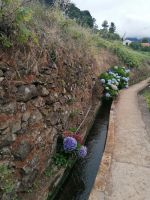 Wanderung entlang der Leveda do Castelejo