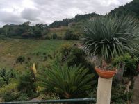 Wanderung entlang der Leveda do Castelejo