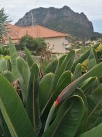 Wanderung entlang der Leveda do Castelejo