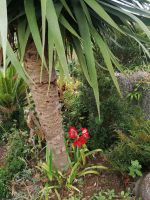 Wanderung entlang der Leveda do Castelejo