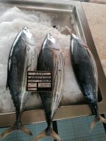 Markthalle in Funchal