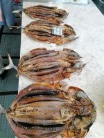 Markthalle in Funchal