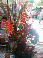 Markthalle in Funchal