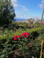 Botanischer Garten in Funchal