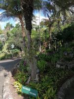 Botanischer Garten in Funchal