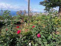 Botanischer Garten in Funchal