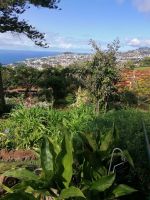 Botanischer Garten in Funchal