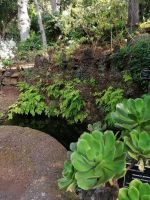 Botanischer Garten in Funchal