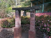 Botanischer Garten in Funchal