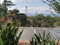 Botanischer Garten in Funchal