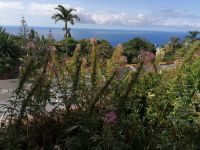 Botanischer Garten in Funchal