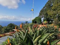 Botanischer Garten in Funchal