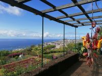 Botanischer Garten in Funchal