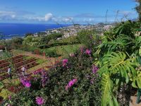 Botanischer Garten in Funchal
