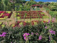 Botanischer Garten in Funchal