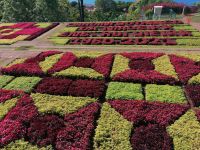 Botanischer Garten in Funchal