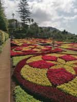 Botanischer Garten in Funchal