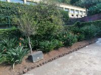 Botanischer Garten in Funchal