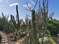 Botanischer Garten in Funchal