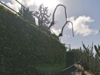 Botanischer Garten in Funchal