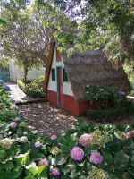 Botanischer Garten in Funchal