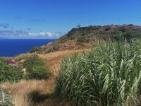 Statue Cristo Rei in Garajau