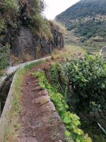 Levada von Maracos