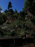 Kräutergarten Quinta Esmeralda 