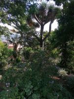 Kräutergarten Quinta Esmeralda 