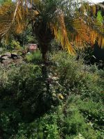 Kräutergarten Quinta Esmeralda 