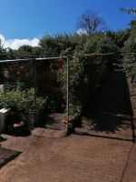 Kräutergarten Quinta Esmeralda