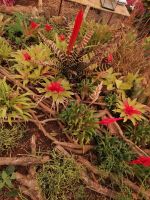 Kräutergarten Quinta Esmeralda