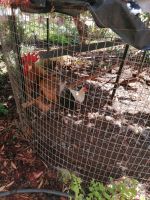 Kräutergarten Quinta Esmeralda