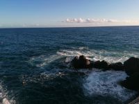Spezialitätenabendessen im Restaurant Atlantis