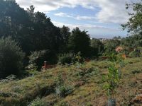 IMG 20210914 095328 1