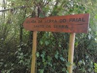Levada da Serra do Faial
