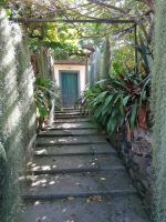 Orchideen Garten in Funchal