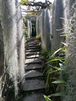 Orchideen Garten in Funchal