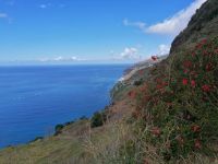 Blick auf Ponta de Sol