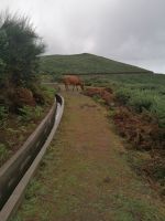 Kurze Wanderung auf der Hochebene Paul da Serra