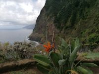 Brautschleier-Wasserfall