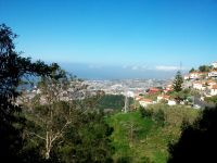 Blick auf Funchal