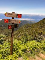 Wanderung zum Pico do Ruivo