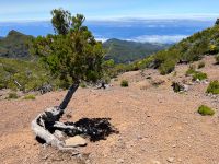 Wanderung zum Pico do Ruivo