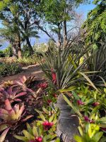 Zu Besuch im Botanischen Garten von Funchal
