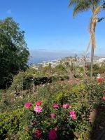 Zu Besuch im Botanischen Garten von Funchal